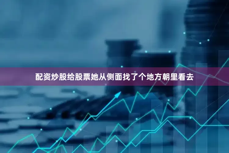 配资炒股给股票她从侧面找了个地方朝里看去