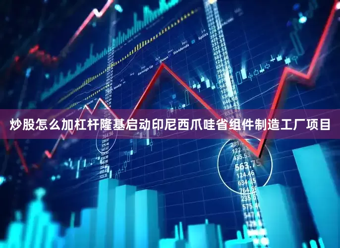 炒股怎么加杠杆隆基启动印尼西爪哇省组件制造工厂项目