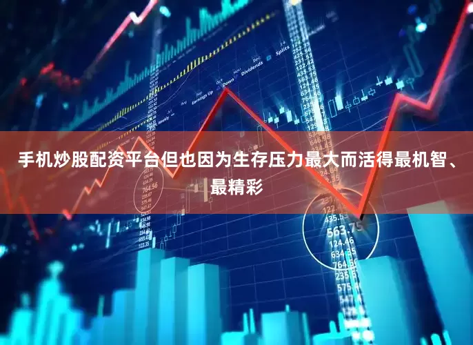 手机炒股配资平台但也因为生存压力最大而活得最机智、最精彩