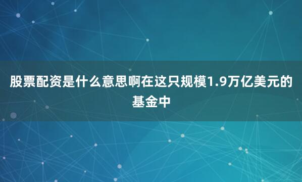 股票配资是什么意思啊在这只规模1.9万亿美元的基金中