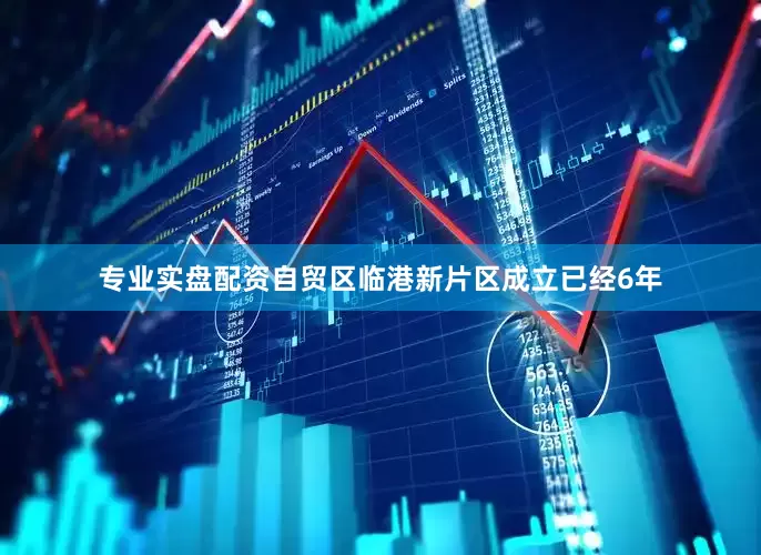 专业实盘配资自贸区临港新片区成立已经6年