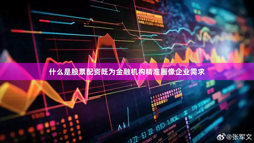 什么是股票配资既为金融机构精准画像企业需求